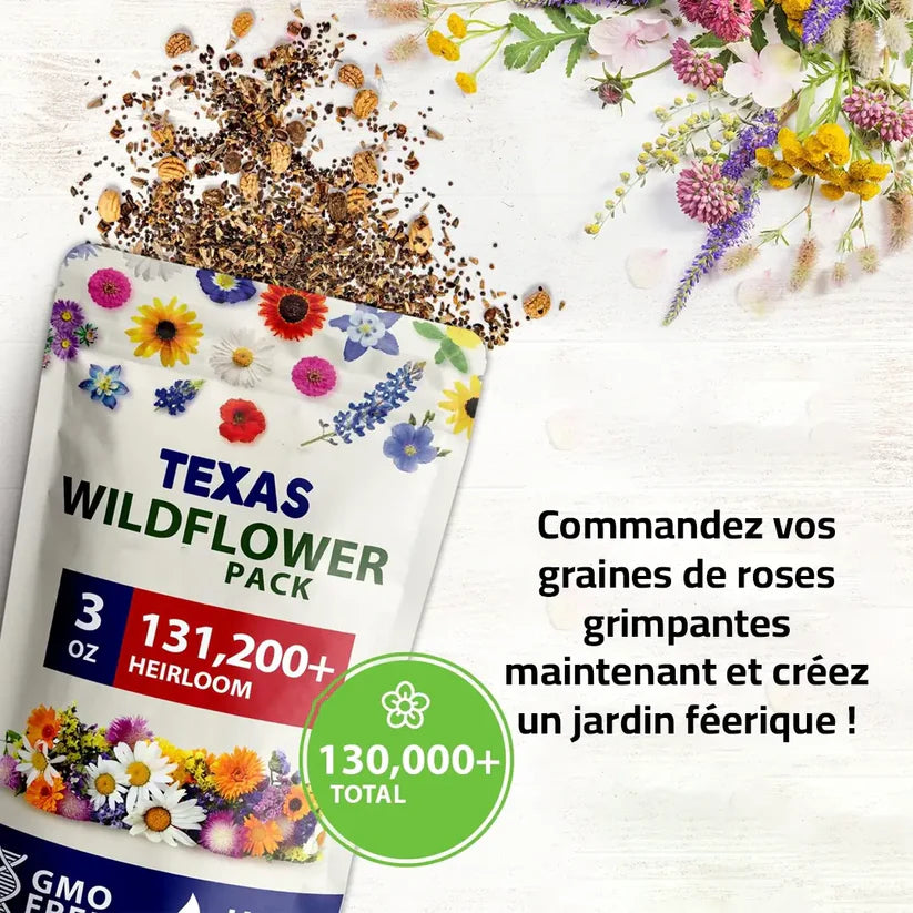 Graines de Roses Grimpantes Élégantes: Un Jardin Magique !