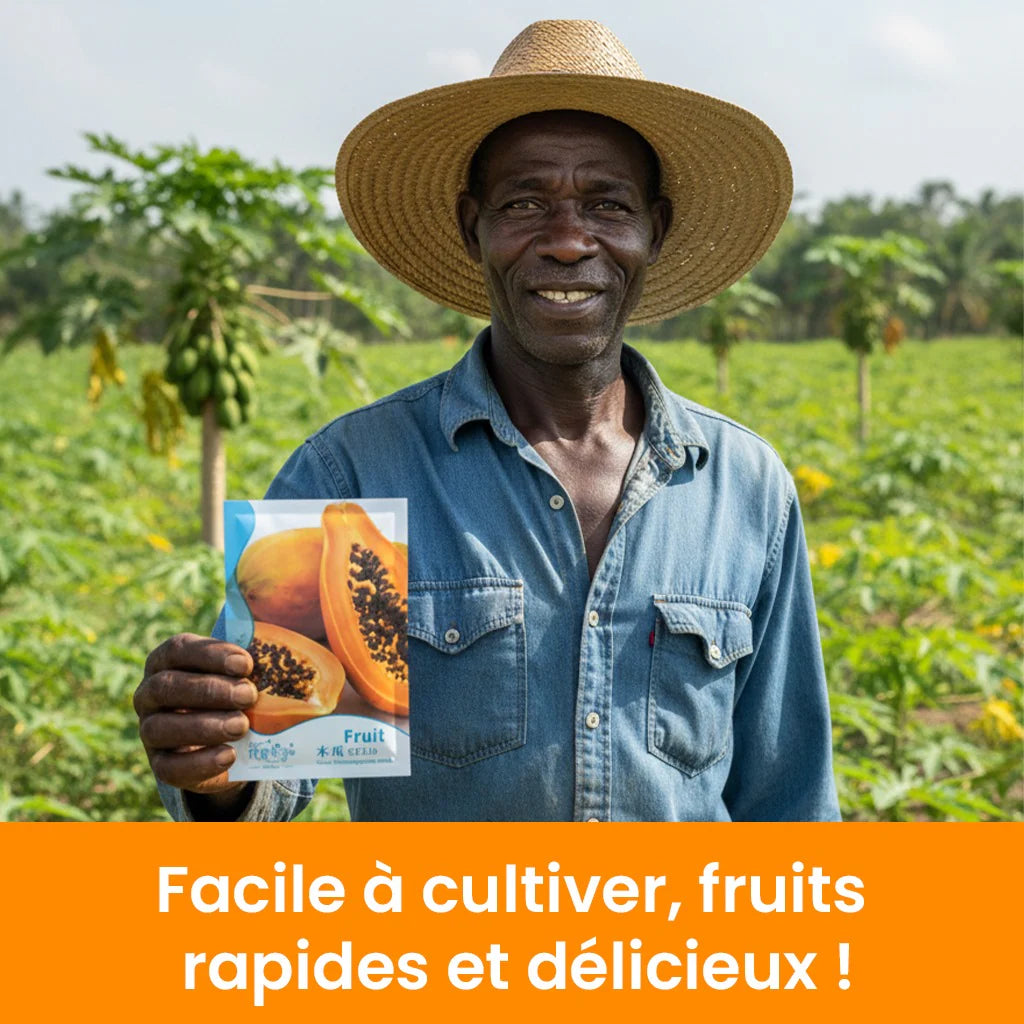 Graines de Papaye Bio