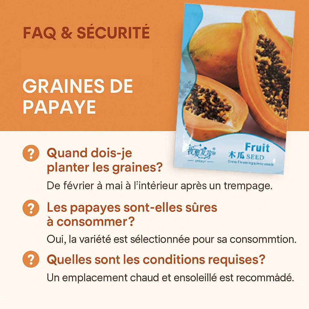 Graines de Papaye Bio